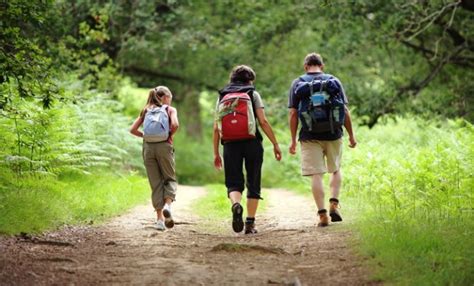 Spring Hike: Wade Mtn. Lunch Loop - The Land Trust