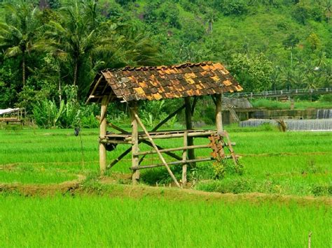 17 Best images about Indonesia @Pacitan on Pinterest | Home, Beautiful and Caves