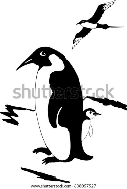 Emperor Penguin Chick Skua Longtailed Black Stock Illustration ...