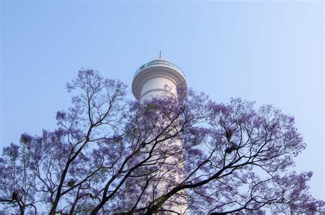 Premium Photo | Kl tower