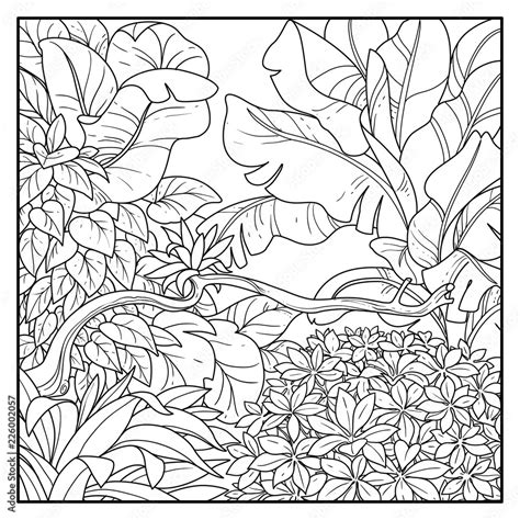 Jungle with big bush in the foreground black contour line drawing for coloring on a white ...