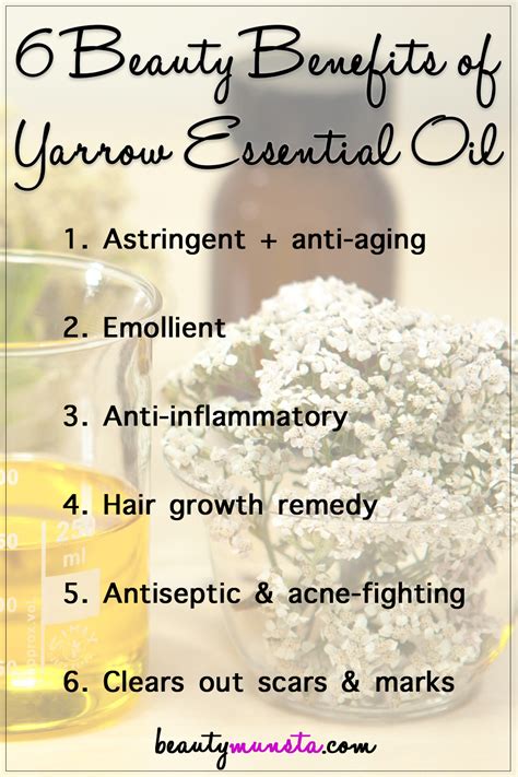 Top 6 Beauty Benefits of Yarrow Essential Oil - beautymunsta - free ...