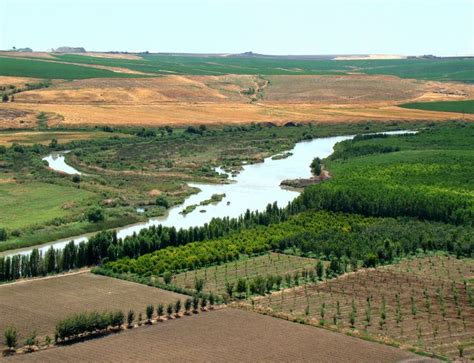 Tigris | World heritage sites, River, Mesopotamia