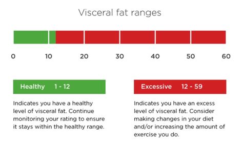 Visceral Fat Chart Women