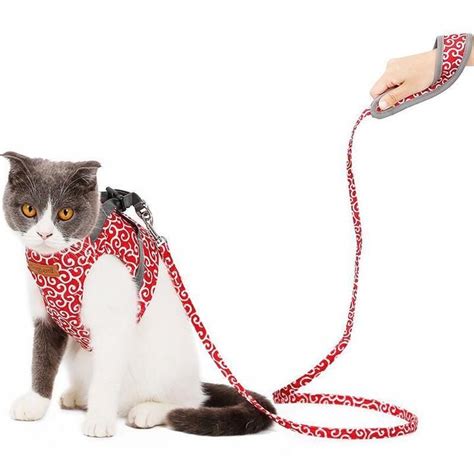 Pet Cats Adjustable Walking Harness Vest | Cat harness, Walking harness, Pets cats