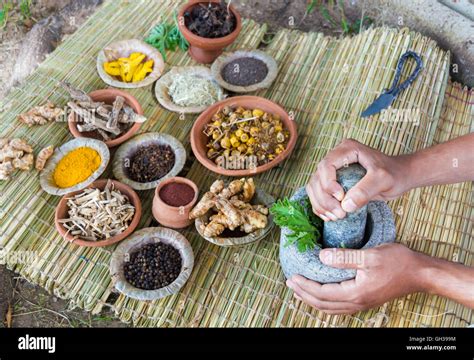 Curcuma herbal medicine hi-res stock photography and images - Alamy