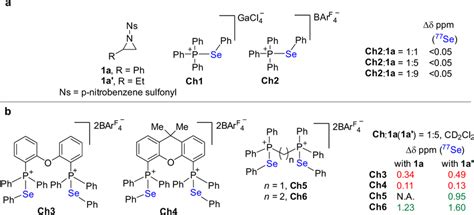 Chalcogen bonding interactions between Ch1-6 and aziridines (⁷⁷Se NMR... | Download Scientific ...