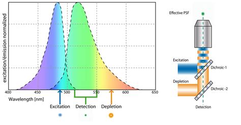 Principle of STED microscopy (a) and Depletion of the excited state for ...