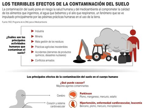 Los terribles efectos de la contaminación del suelo | PortalAmbiental.com.mx