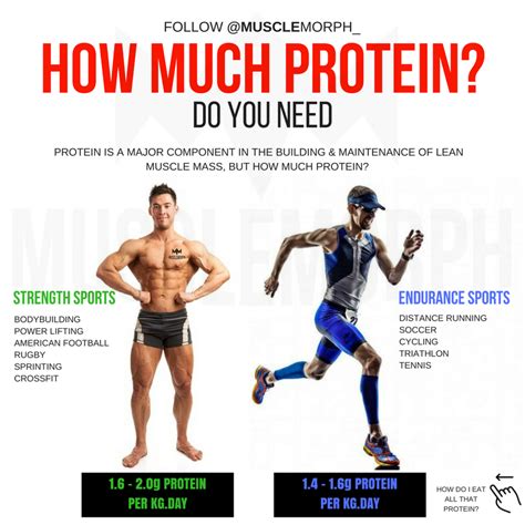 HOW MUCH PROTEIN DO YOU NEED? https://musclemorphsupps.com/ | Gym workout tips, Bodybuilding ...