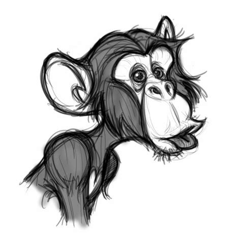 Animal caricature, Sketches, Monkey drawing