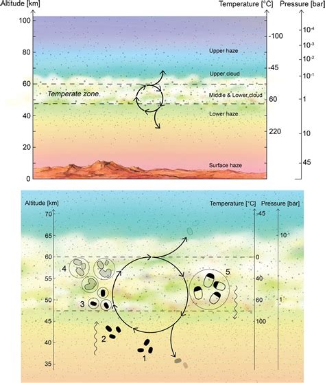 Could There Be Life in the Cloudtops of Venus? - Universe Today