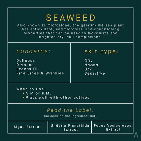 Did You Know Seaweed Is A Powerhouse Skincare Ingredient? | The AEDITION