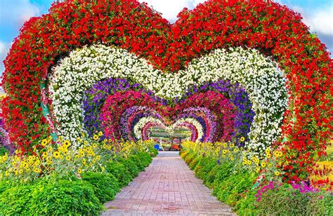 23+ Dubai Miracle Garden Butterflies, Yang Nyaman!