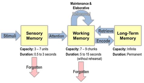 Similarity and Differences Between Cowan’s and Baddeley’s Working ...