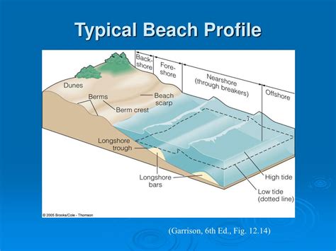 PPT - Coasts: Beaches and Shoreline Processes PowerPoint Presentation, free download - ID:3030801