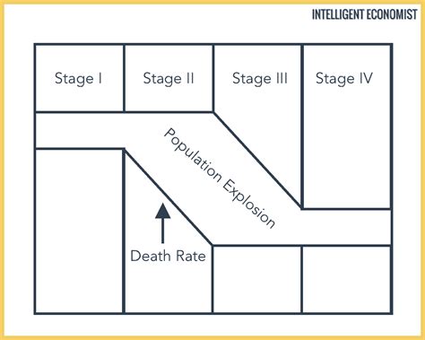 The Demographic Transition Model - Intelligent Economist