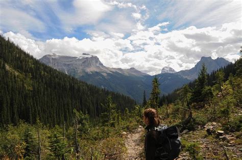 Hiking trail near Golden, British Columbia | Hiking trails, Trail, British columbia