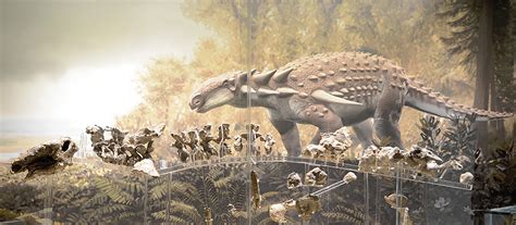 Kansas Designates Silvisaurus Condrayi the Official State Land Fossil | KU Biodiversity ...