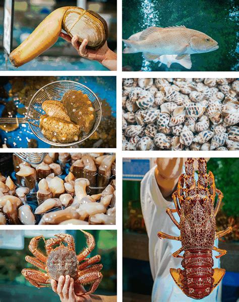 海鲜种类名称图片大全,海鲜品种大全及名字,常见海鲜认识图_大山谷图库
