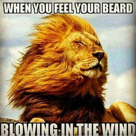 Top 60 Best Funny Beard Memes for Facial Hair Lovers