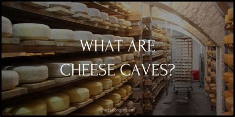 What are Cheese Caves? The Evolution and Purpose of Cheese Caves