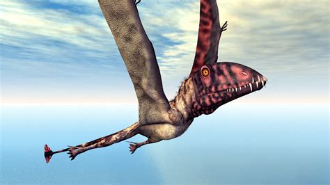 'Dragon of Death': Giant Flying Dinosaur with 30-foot Wingspan Dug up in Argentina