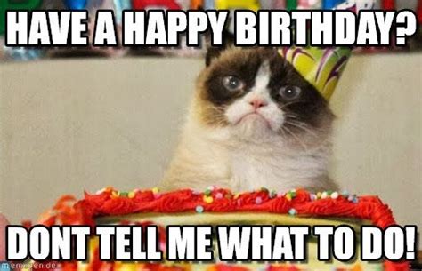 Have A Happy Birthday? | Cat birthday memes, Funny happy birthday meme, Grumpy cat humor