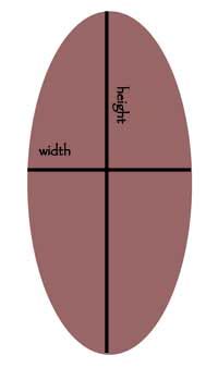 Area of an oval - Geometry - Quatr.us Study Guides