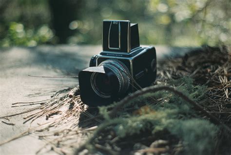 Free Images : grass, photography, green, reflex camera, digital camera, photograph, digital slr ...