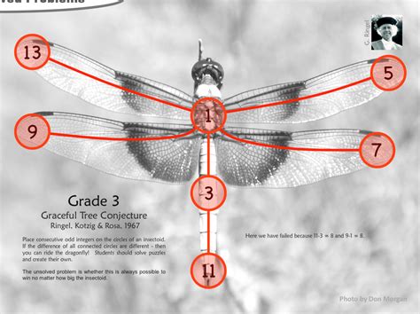 Unsolved Math Problems at Every Grade K-12 – dy/dan