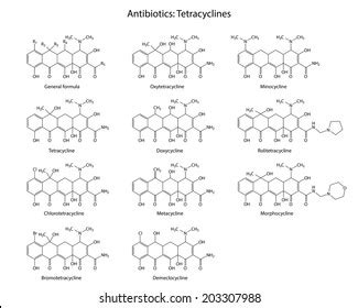 Structural Chemical Formulas Antibiotics Tetracyclines Group Stock ...