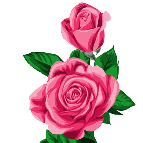 flor rosa roja 12446726 PNG