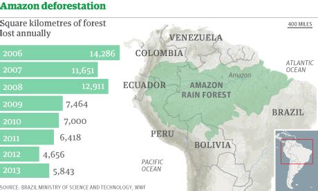 The Amazon Rainforest: Deforestation Nation : Deforestation rates are ...