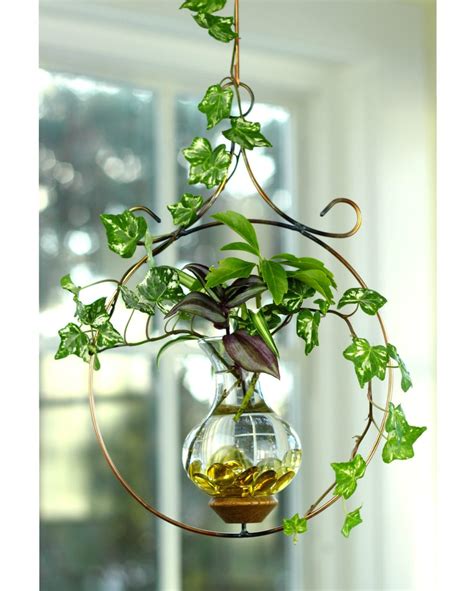 Circle Hanging Water Garden™ [Live plants included] - Vermont Nature Creations