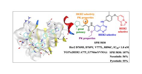 Discovery of SPH5030, a Selective, Potent, and Irreversible Tyrosine Kinase Inhibitor for HER2 ...