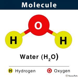 Molecule: Definition, Examples, Facts & Diagram