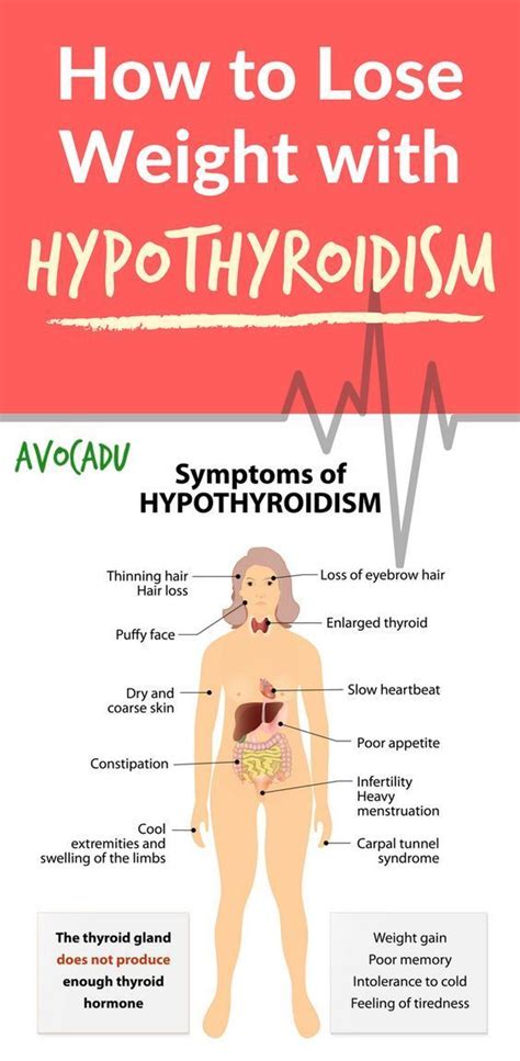 Training the thyroid | Hypothyroidism diet plan, Thyroid problems, Thyroid diet