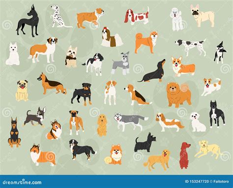 Cute Dogs in Action Wallpaper Design Stock Vector - Illustration of exercise, bulldog: 153247720