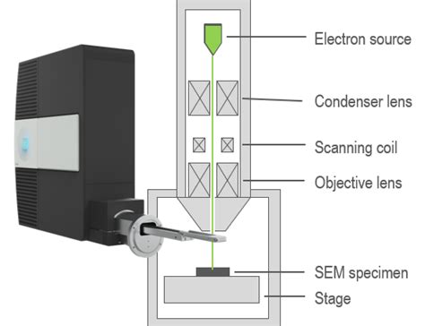 Cathodoluminescence | Gatan, Inc.