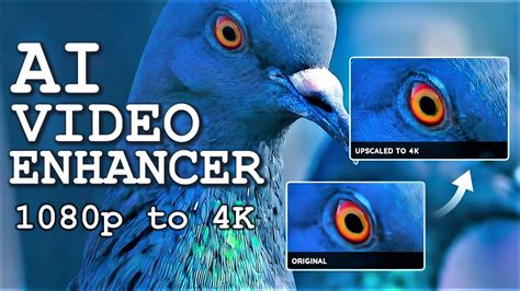 Transform Your Video Quality to 4K with AI Upscaling - AVCLabs Video Enhancer AI - YouTube