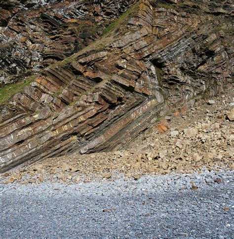 Recumbent Folds At Millook Haven Photograph by Sinclair Stammers - Fine Art America