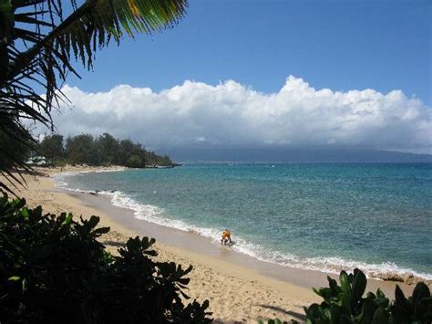 THE BEST Paia Beach Hotels of 2022 (with Prices) - Tripadvisor