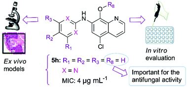 New 8-hydroxyquinoline derivatives highlight the potential of this class for treatment of fungal ...