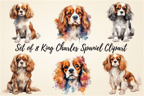 Cavalier King Charles Spaniel Clipart Graphic by pcudesigns · Creative Fabrica