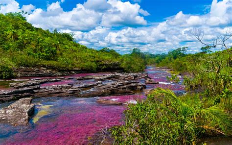 This River in Colombia Turns Into a Liquid Rainbow You Have to See to Believe