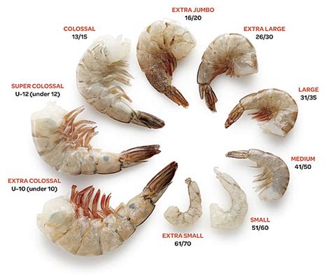 Help with Shrimp Sizes – Blooms Imports