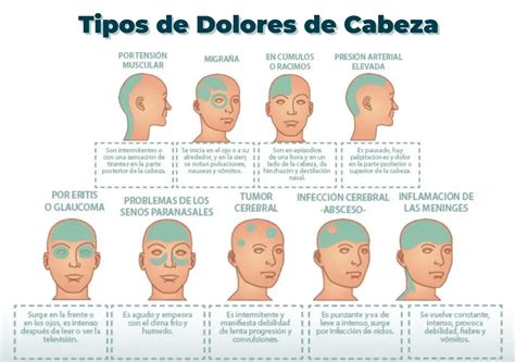 Tipos de Dolores de Cabeza | FISIOMIBE MAJADAHONDA