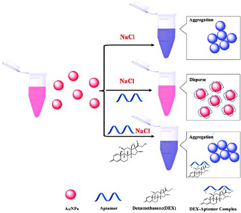 Schematic diagram of the colorimetric method for DEX detection based on ...