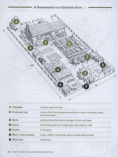 Homestead on 1/2 Acre: A Cool Idea for Self-Sufficiency